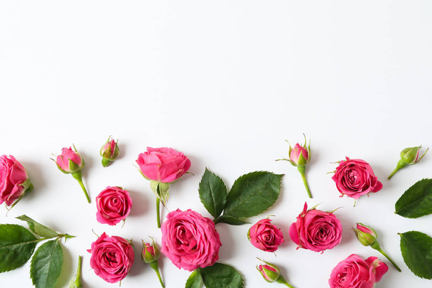 Beautiful fresh pink roses on white background, space for text - Foto, afbeelding
