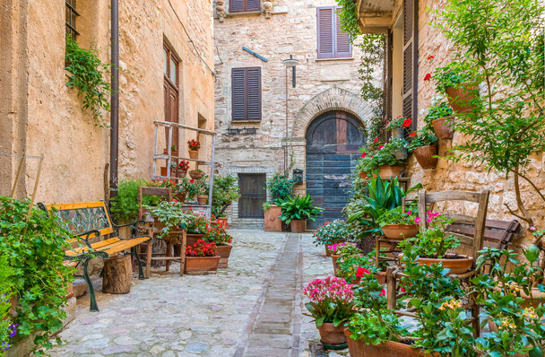 Scenic sight in Spello, flowery and picturesque village in Umbria, province of Perugia, Italy. - Foto, Bild