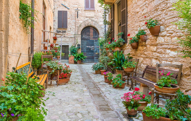 Scenic sight in Spello, flowery and picturesque village in Umbria, province of Perugia, Italy. - Fotó, kép