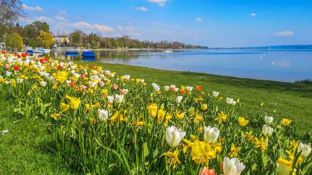 Vacanze Estate sul bellissimo Lago di Costanza con tulipani sul lago
 - Foto, immagini