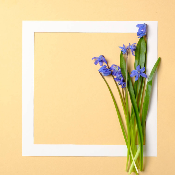 Spring flowers concept. Border frame and tender flowers with blue petals on pastel yellow background. Spring sale season banner template. Flat lay composition. Top view, overhead - Zdjęcie, obraz