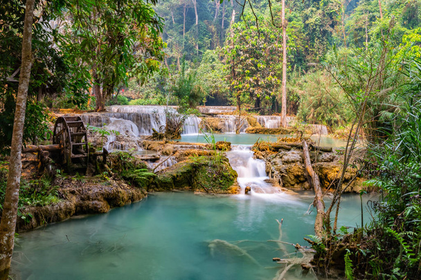 Tad Kwang Si Waterfall in estate, Situato nella provincia di Luang Prabang, Laos
 - Foto, immagini