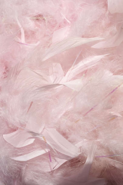 flauschige rosa Federn - Foto, Bild