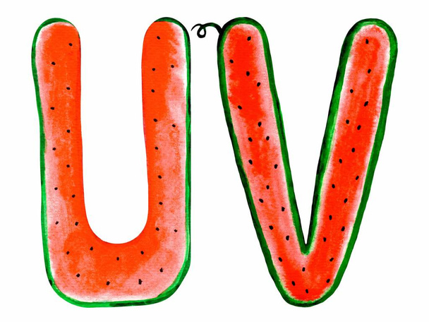 Aquarelle watermelon handwritten Latin (English and Spanish) letters: U and V. Isolated on a white background. Illustration. Summer tasty font. - Photo, Image