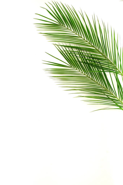 green palm leaves arranged on light background - Φωτογραφία, εικόνα