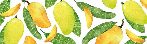 Watercolor banner with yellow mango fruit and leaves. - Fotografie, Obrázek