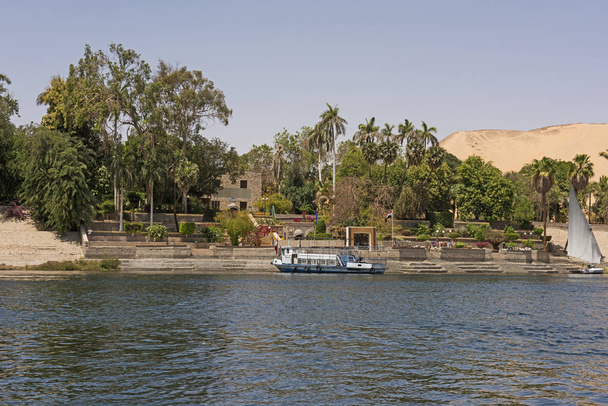 Mısır'da Aswan tropikal botanik bahçeleri - Fotoğraf, Görsel