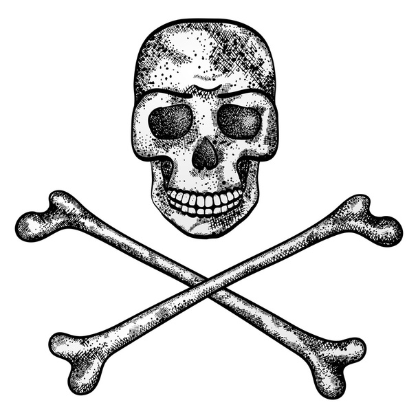 Vector illustration of skull and crossbones. - Wektor, obraz