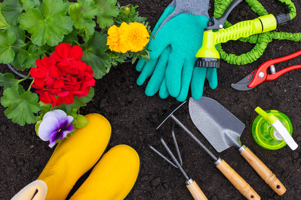 Gardening tools - top view - Zdjęcie, obraz