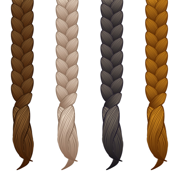 braids isolated on white background - vector illustration - Vektor, Bild