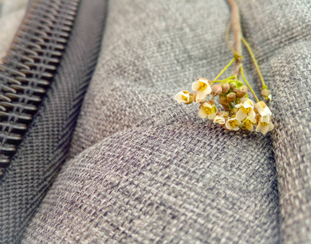 ein kleiner Zweig mit weißen Blüten neben einer schwarzen Schlange auf einem Rucksack auf einem grauen Stoff - Foto, Bild