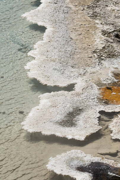 Fuente Paint Pot sendero entre gayser, piscinas de barro hirviendo y árboles quemados en el Parque Nacional de Yellowstone en Wyoming
 - Foto, imagen