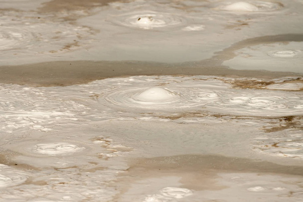 Фонтан фарба ПОТ стежка між гейзер, кипіння грязьові басейни і спалені дерева в Єллоустоунський національний парк в штаті Вайомінг - Фото, зображення