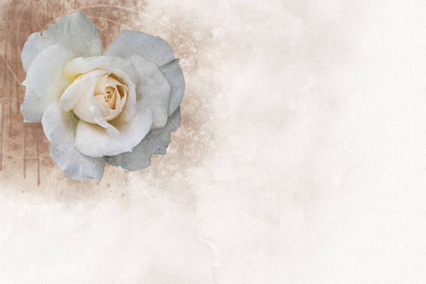eine Aquarellzeichnung einer lebendigen Rosenblüte. Botanische Kunst. dekoratives Element für eine Grußkarte oder Hochzeitseinladung - Foto, Bild