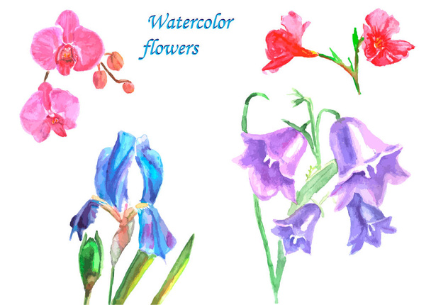 Set of watercolor flowers. - Foto, afbeelding