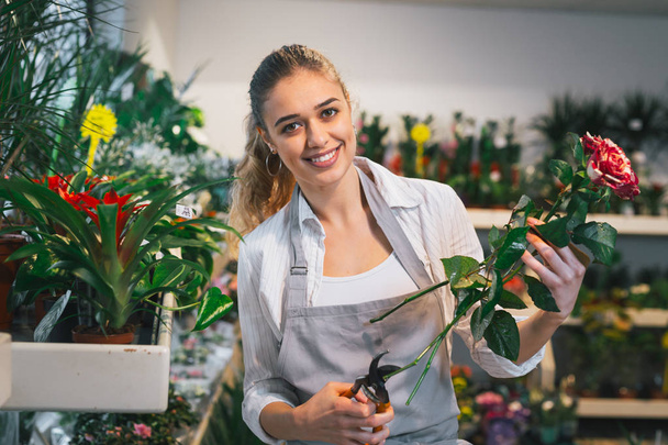 Woman florist holding roses cut stems with secateurs - Foto, immagini