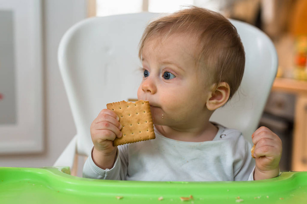 baby boy holding biscuit while sitting in baby chair - Photo, Image
