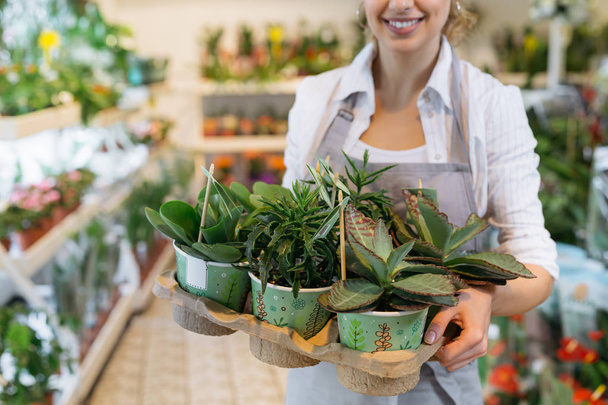 Woman florist holding crate of green potted plants in flower shop - Φωτογραφία, εικόνα