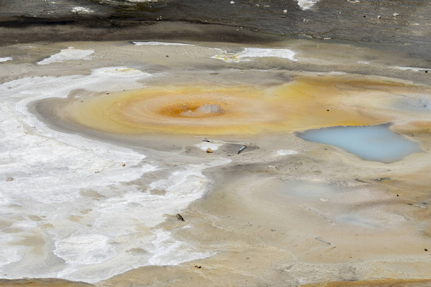 porcelana da bacia do geyser norris em Yellowstone National Park em Wyoming
 - Foto, Imagem