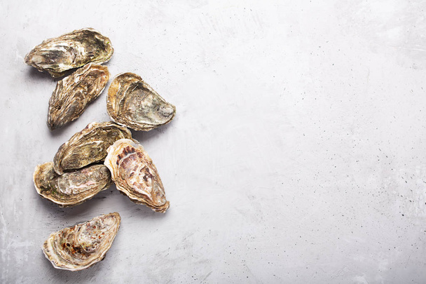 Closed oysters on gray concrete background. Healthy sea food. Copy space - Fotó, kép