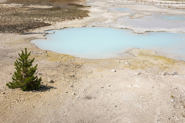 norris geyser basin porcelain in in Yellowstone National Park in Wyoming - Photo, Image
