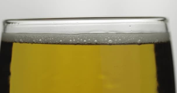 Birra fredda in un bicchiere. Macro di primo piano della birra artigianale. Rotazione 360 gradi
 - Filmati, video