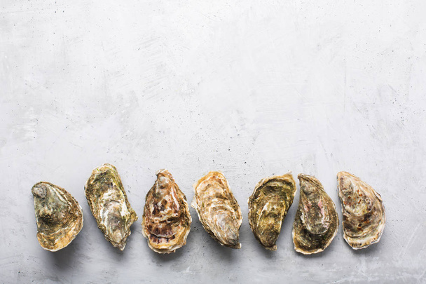 Closed oysters on gray concrete background. Healthy sea food. Copy space - Zdjęcie, obraz