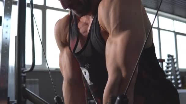 Brutal handsome Caucasian bodybuilder working out in the gym training chest pumping up pectoral muscles withdumbbells - Video