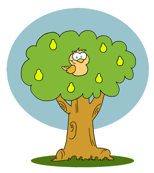 Perdiz amarilla en un árbol de pera
 - Foto, imagen