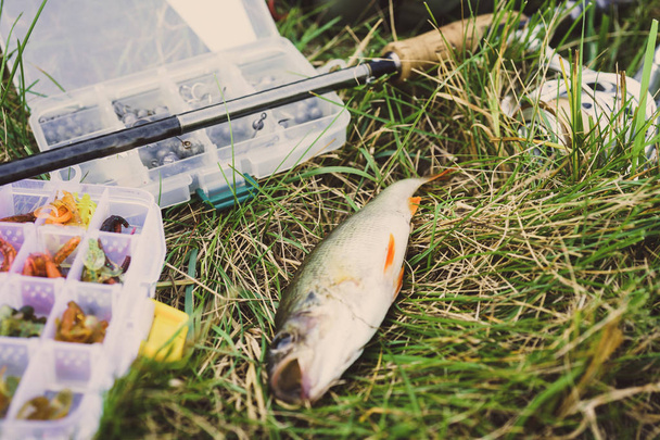 concept van visserij: pakken, hengel, vissen op het gras - Foto, afbeelding