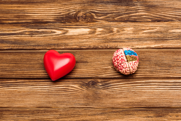 Draufsicht auf menschliches Gehirn und rotes Herz auf Holzoberfläche   - Foto, Bild