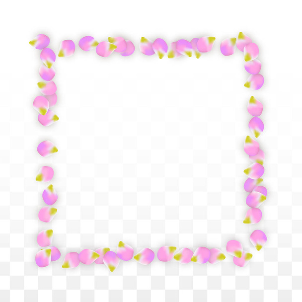 Vector Realistic Pink Petals Falling on Transparent Background.  Spring Romantic Flowers Illustration. Flying Petals. Sakura Spa Design. Blossom Confetti. - Vector, Image