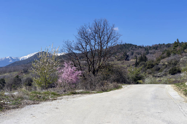 Сільська дорога і квітучі дерева вздовж неї в горах (Gr
 - Фото, зображення
