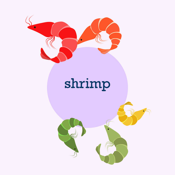 Shrimp fresh seafood. Vector backgroung. Food and restaurant design. - Vecteur, image