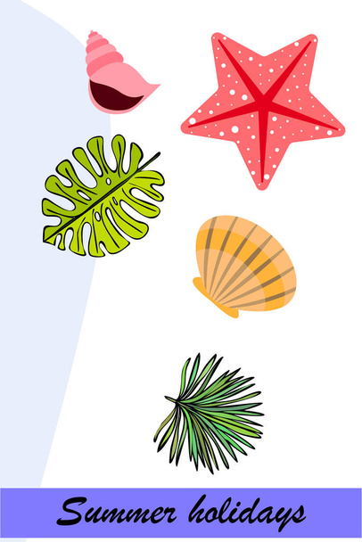 Summer rest. Starfish, seashell, leaves of tropical plants. Vector background - Вектор,изображение