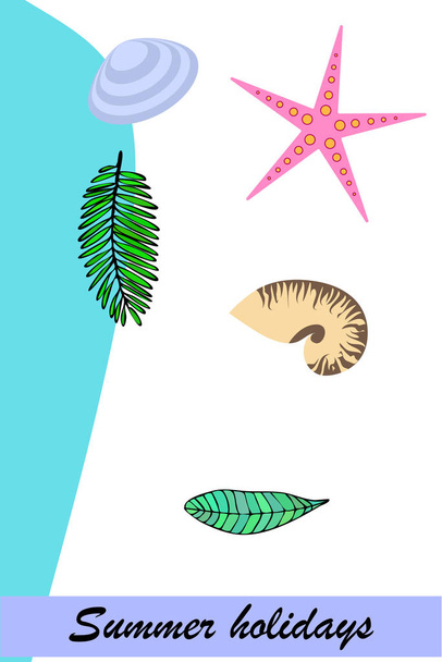 Summer rest. Starfish, seashell, leaves of tropical plants. Vector background - Vettoriali, immagini