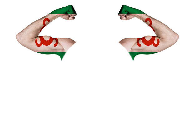 Dos manos talladas con una bandera pintada de Ingushetia muestran los músculos como un signo de fuerza, fuerza y disposición para luchar, sobre un fondo blanco
. - Foto, Imagen