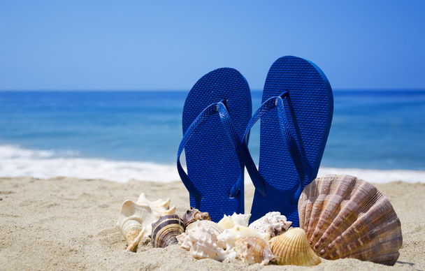 Шлепанцы с ракушками на песчаном пляже
 - Фото, изображение