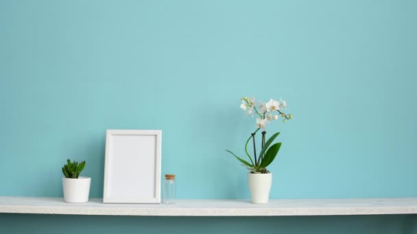 Resim çerçevesi mockup ile modern oda dekorasyonu. Saksılı orkide ve el sulu bitki toplama ile pastel turkuaz duvara karşı beyaz raf. - Video, Çekim