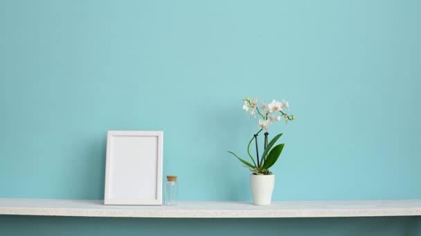 moderne Raumdekoration mit Bilderrahmen-Attrappe. weißes Regal gegen pastelltürkisfarbene Wand mit eingetopfter Orchidee und von Hand abgelegte Kakteenpflanze. - Filmmaterial, Video