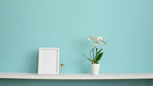 Moderna decoración de la habitación con marco de imagen maqueta. Estante blanco contra pared de turquesa pastel con orquídea en maceta y planta de cactus puesta a mano
. - Imágenes, Vídeo