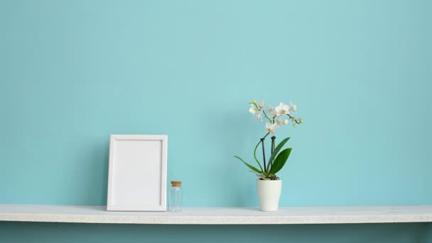 ピクチャーフレームモックアップ付きのモダンな客室の装飾。鉢植えの蘭と手でパステルターコイズの壁に対する白い棚は、シェフフレラ植物を置きます. - 映像、動画