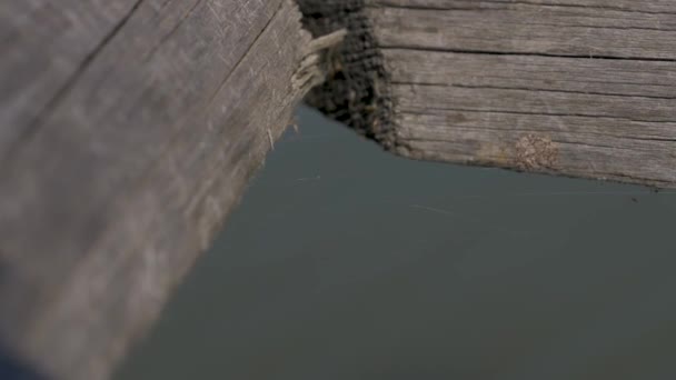 Zrobione pod resztą połowów w domach trzciny - Materiał filmowy, wideo