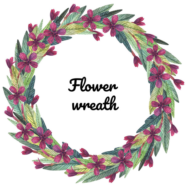 Watercolor floral wreath of carnation - Foto, imagen