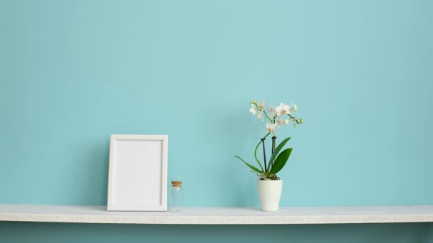 Modern room decoration with Picture frame mockup. White shelf against pastel turquoise wall with potted orchid and hand putting down violet plant. - Footage, Video