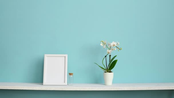 Décoration de chambre moderne avec cadre photo maquette. Étagère blanche contre le mur turquoise pastel avec orchidée en pot et plante violette posée à la main
. - Séquence, vidéo
