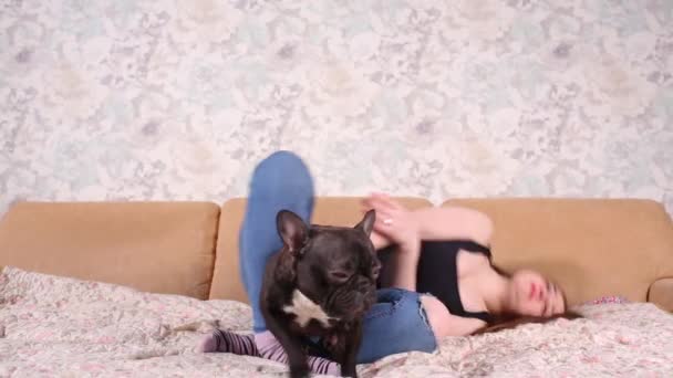 A beautiful young girl sits and holds a lot of small puppy of a French bulldog dog. - Filmati, video