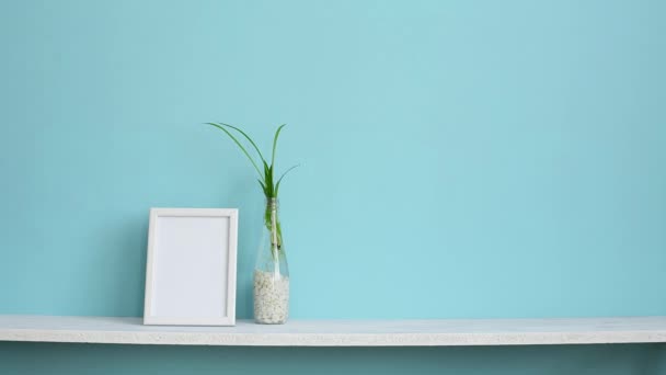 Moderna decoración de la habitación con marco de imagen maqueta. Estante blanco contra la pared de color turquesa pastel con esquejes de plantas de araña en agua y mano poniendo orquídea
. - Metraje, vídeo
