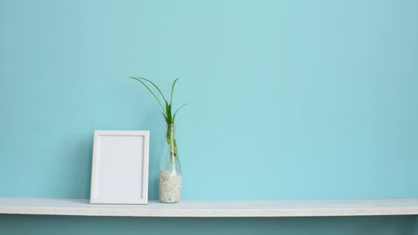 Modern room decoration with Picture frame mockup. White shelf against pastel turquoise wall with spider plant cuttings in water and hand putting down succulent. - Footage, Video
