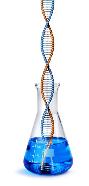 Elica DNA nel bicchiere di vetro labotatorio
 - Foto, immagini